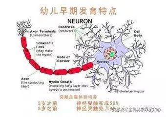 微信图片_20181010145925.jpg