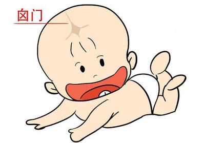 新生儿囟门